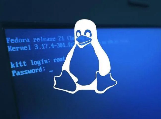 Linux文件管理技巧