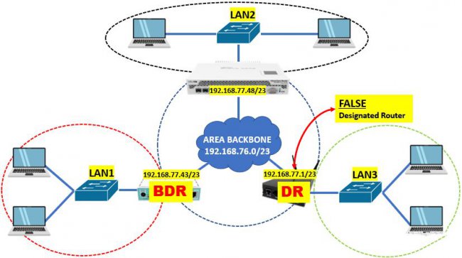 OSPF DR和BDR详解