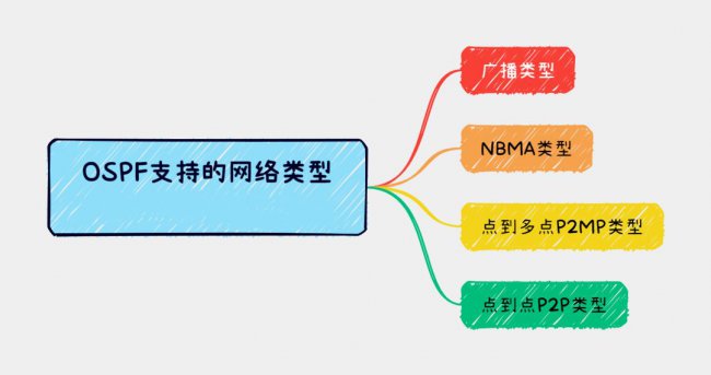 ospf支持的网络类型有哪些