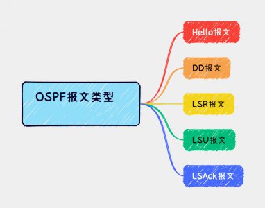 ospf报文类型有几种 "有几种类型的OSPF报文?"