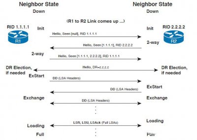OSPF工作原理、建立邻接关系、路由计算详解