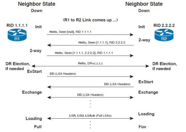 OSPF工作原理、建立邻接关系、路由计算详解