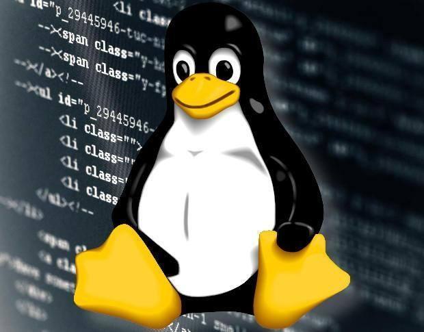 Linux系统中如何查看操作系统信息
