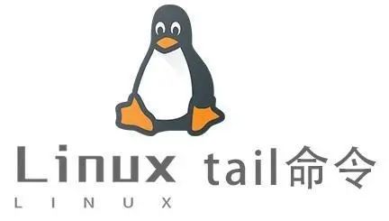 Linux命令深度解析