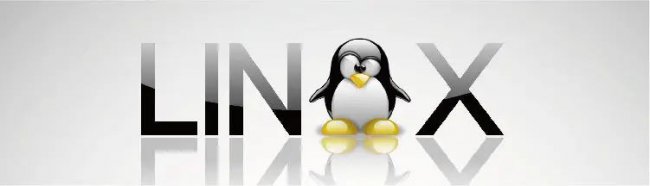Linux中如何使用cp命令复制多个文件