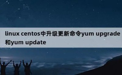 Linux系统维护:YUM更新命令的深入理解与应用