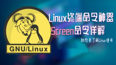 深度解析Linux下的Screen命令:详细指南与实践应用