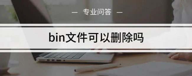 是否可以安全地删除bin文件