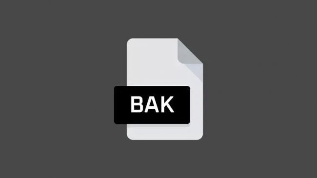 BAK文件是什么