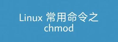 Linux权限控制大师：chmod命令详解与实用技巧