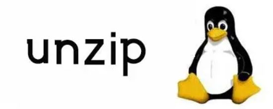 Linux解压利器:unzip命令详解与实用技巧