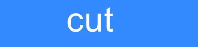 Linux文本处理神器:cut命令详解与实用技巧
