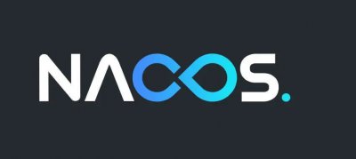深入解析：Nacos —— 阿里巴巴的云原生服务平台