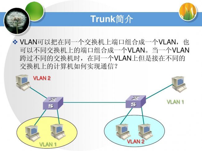 实战技巧:VLAN的划分方法详细解析