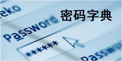 密码安全指南:理解和防范常用密码字典攻击