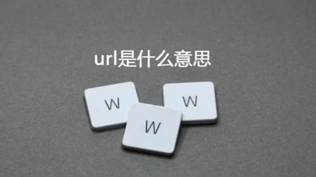 互联网基础知识
