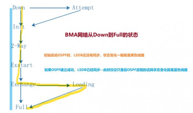 深度探索OSPF协议