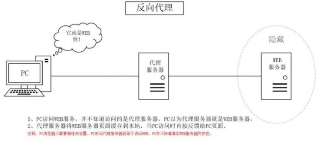 什么是反向代理