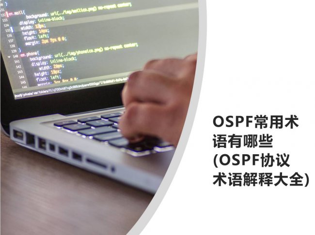 OSPF常用术语有哪些