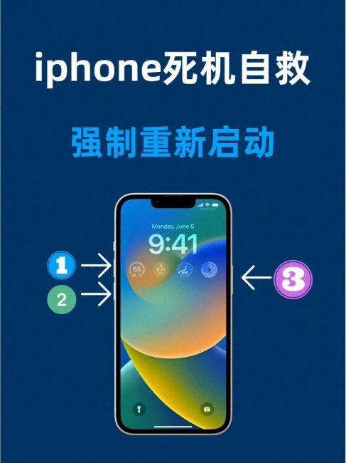 手机内屏黑屏怎么解决方法