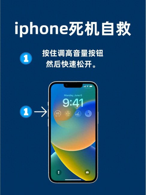 手机内屏黑屏怎么解决方法