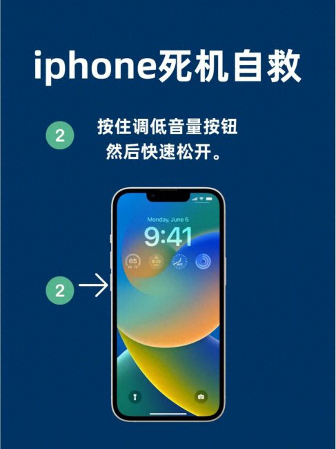 手机内屏黑屏怎么解决方法