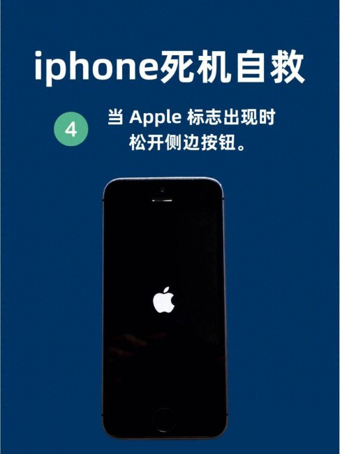 手机内屏黑屏怎么解决方法