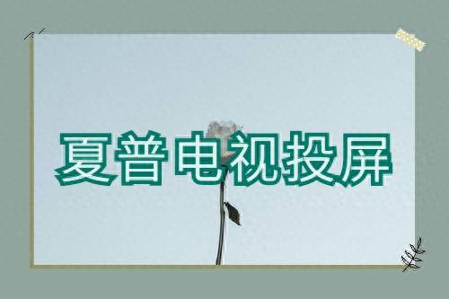 夏普电视设置投屏在哪里找