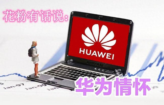 华为play4pro怎么升级鸿蒙