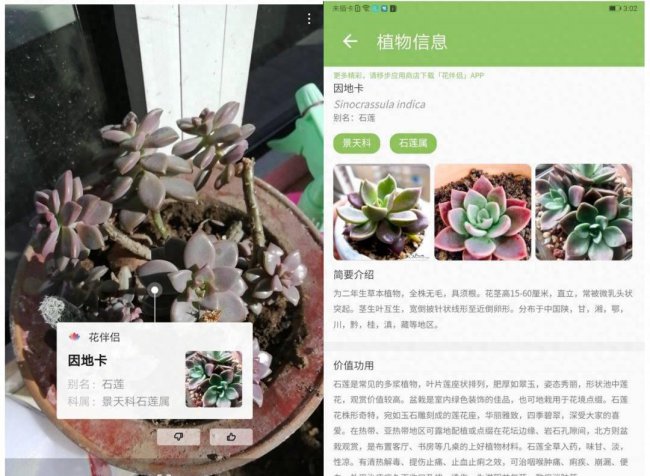 华为m2平板怎么恢复出厂设置方法