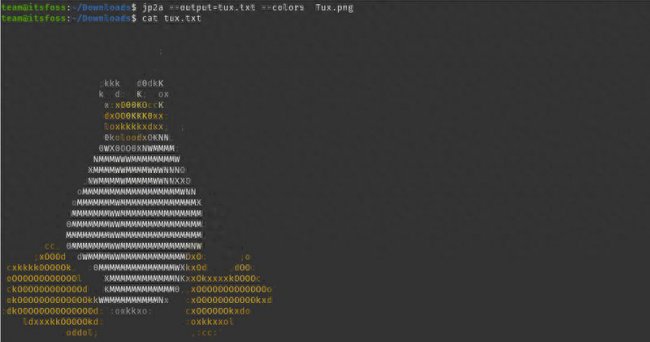 10个在Linux终端中生成有趣的ASCII字符画的工具