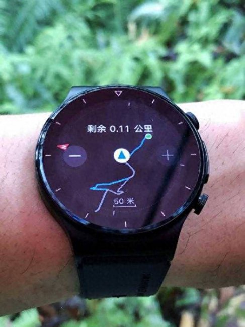 华为gt2proecg手表功能详解