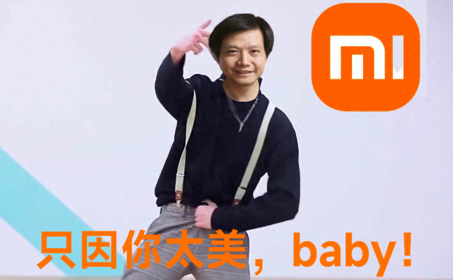 小米4手机电池多少钱一块