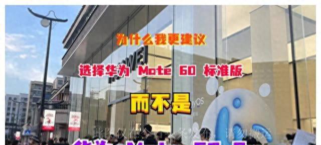 华为最建议购买的系列