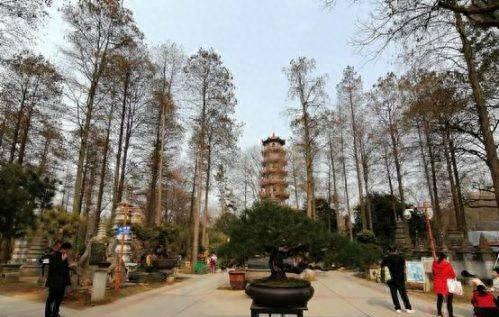 华为nova4e是什么系统版本