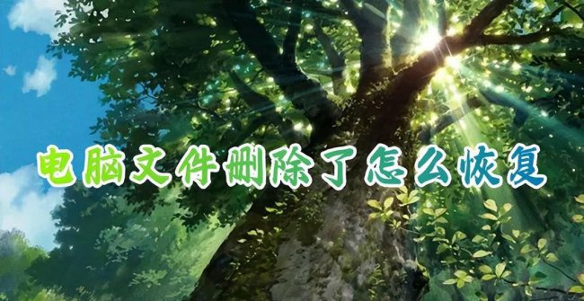 电脑删除文件怎么恢复