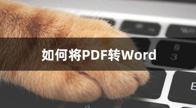 怎么把pdf转为word格式