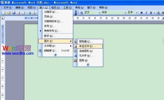 word文档为什么不能复制粘贴文字