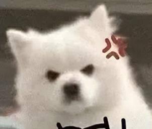 手机最强深度清理软件哪个好