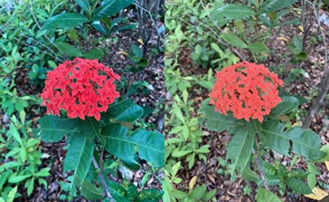 苹果iphone