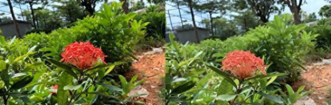 苹果iphone