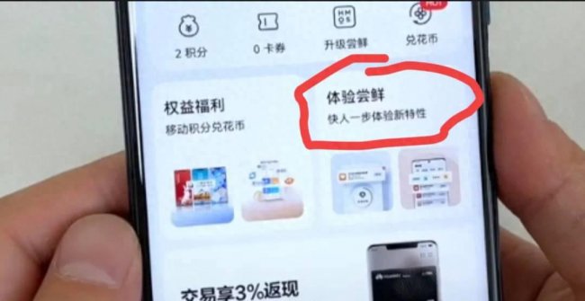 荣耀20pro怎么升级鸿蒙系统
