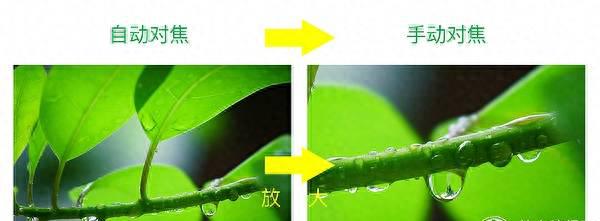 索尼a7m2怎么对焦