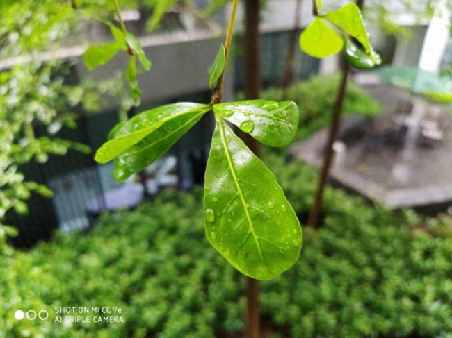 小米cc9e摄像头型号参数