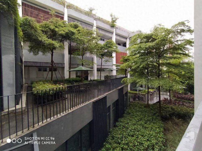 小米cc9e摄像头型号参数