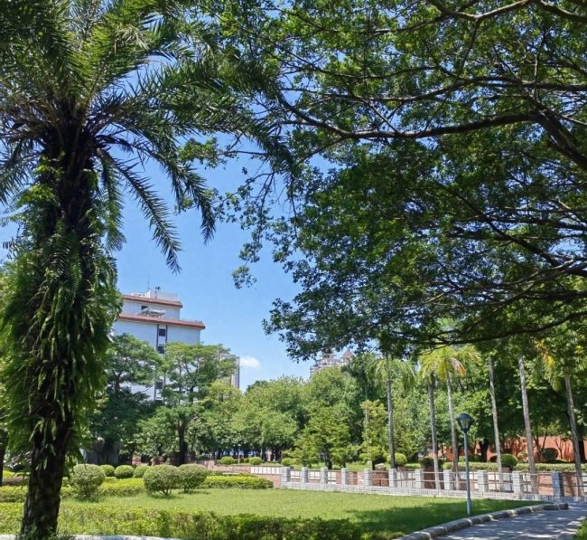 华为p50尺寸大小