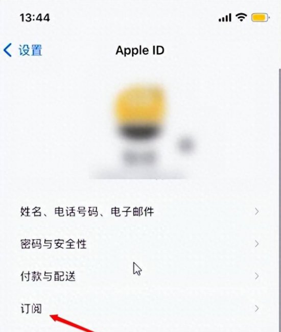苹果手机怎么样关闭软件自动续费功能