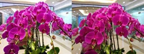 红米5a支持内存卡吗