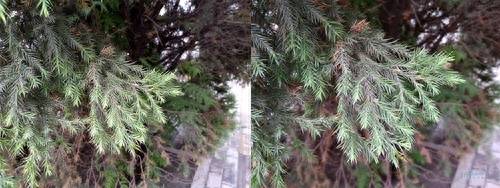 红米5a支持内存卡吗