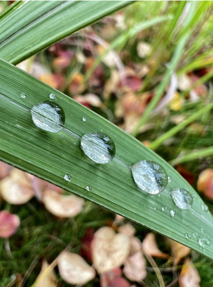 苹果13pro功能介绍与使用